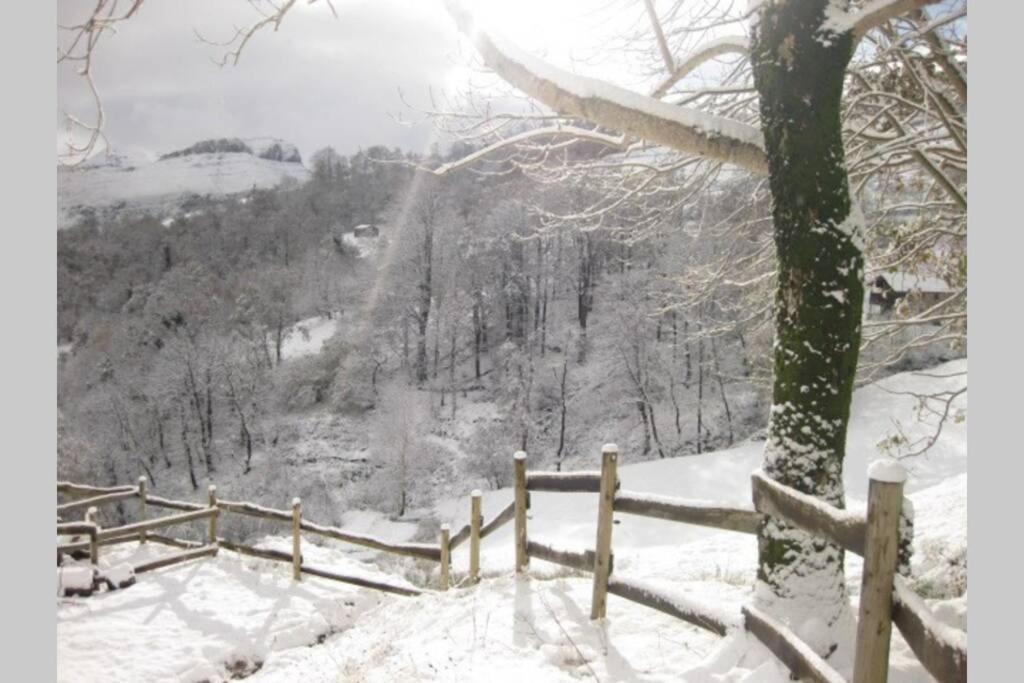 Los Pradones San Roque de Ríomiera Exteriér fotografie
