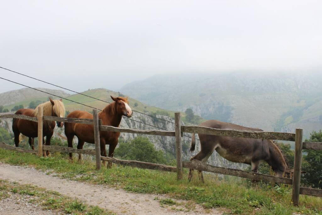 Los Pradones San Roque de Ríomiera Exteriér fotografie